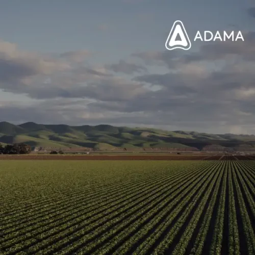 Como o aplicativo ADAMA Pastagem revitalizou a pecuária