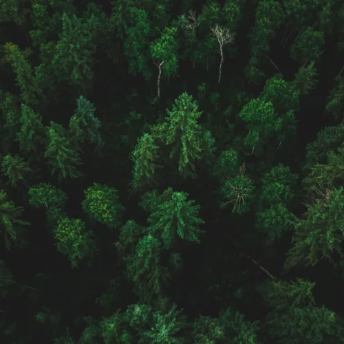 BRQ automatiza análise ESG com IA generativa, reduzindo custos e garantindo precisão de 92,5%