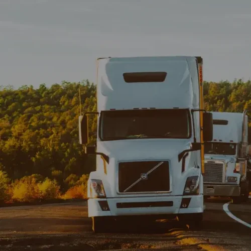 Como um dos maiores frigoríficos do mundo melhorou em 22% previsões sobre o custo de frete usando dados?